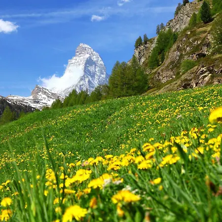 Apartman Zen Stecken A-1 By Interhome Zermatt
